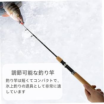 Amazon | 穴釣り用ロッド 2本セット 釣り竿 伸縮可能 75cm